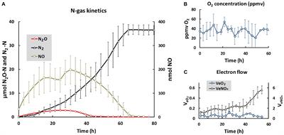 Rapid Succession of Actively Transcribing Denitrifier Populations in Agricultural Soil During an Anoxic Spell